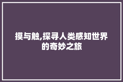 摸与触,探寻人类感知世界的奇妙之旅 国学经典