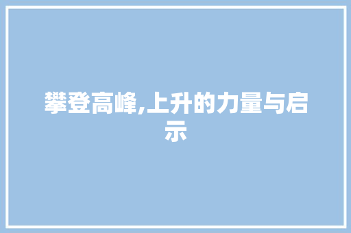 攀登高峰,上升的力量与启示