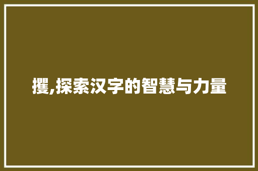 攫,探索汉字的智慧与力量