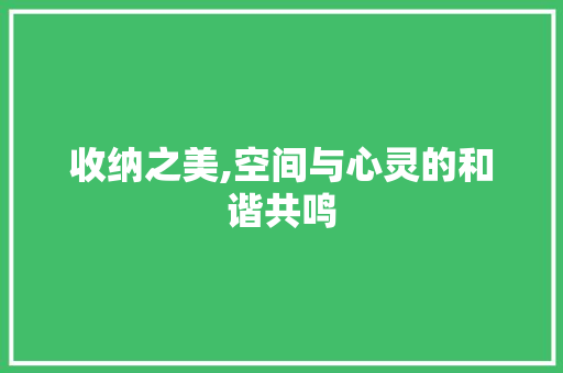收纳之美,空间与心灵的和谐共鸣