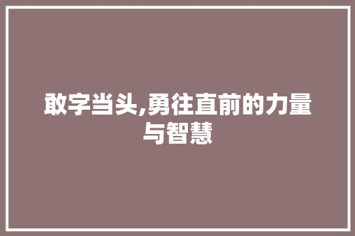 敢字当头,勇往直前的力量与智慧