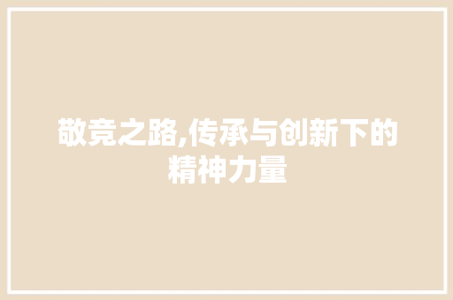 敬竞之路,传承与创新下的精神力量 工作总结