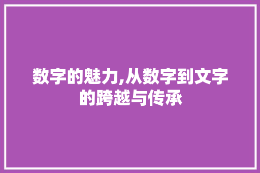 数字的魅力,从数字到文字的跨越与传承 诗词鉴赏