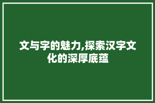 文与字的魅力,探索汉字文化的深厚底蕴 工作总结