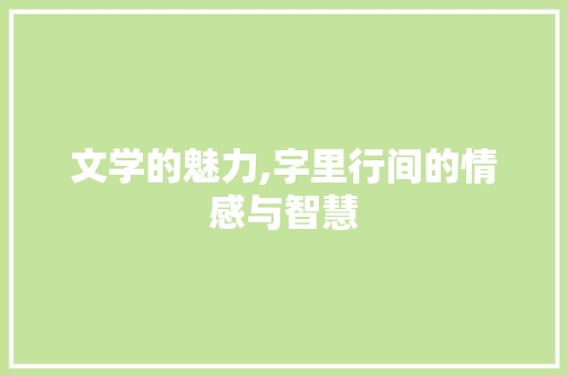 文学的魅力,字里行间的情感与智慧