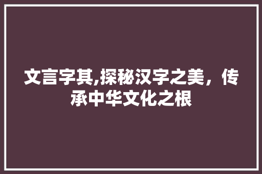 文言字其,探秘汉字之美，传承中华文化之根