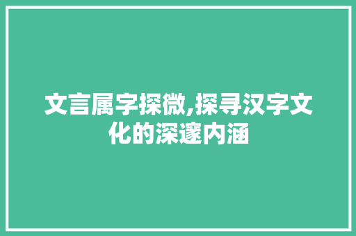 文言属字探微,探寻汉字文化的深邃内涵