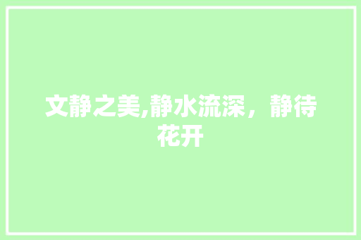 文静之美,静水流深，静待花开
