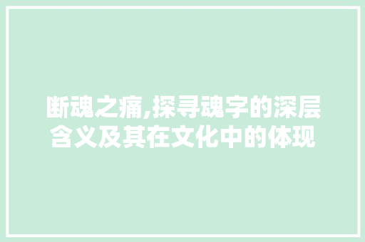 断魂之痛,探寻魂字的深层含义及其在文化中的体现
