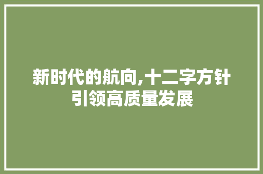 新时代的航向,十二字方针引领高质量发展 演讲稿