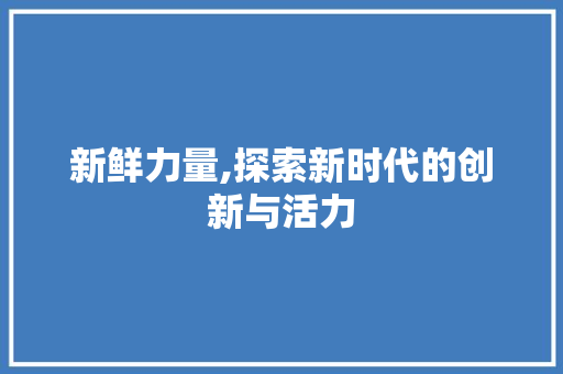 新鲜力量,探索新时代的创新与活力