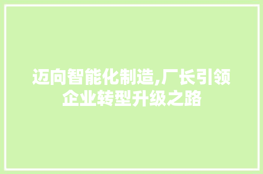 迈向智能化制造,厂长引领企业转型升级之路