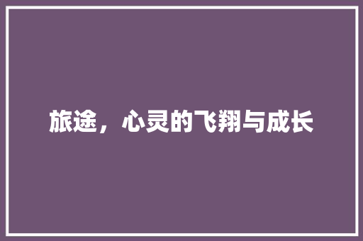 旅途，心灵的飞翔与成长
