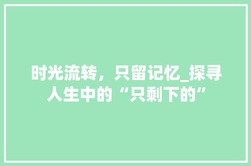 时光流转，只留记忆_探寻人生中的“只剩下的” 工作总结