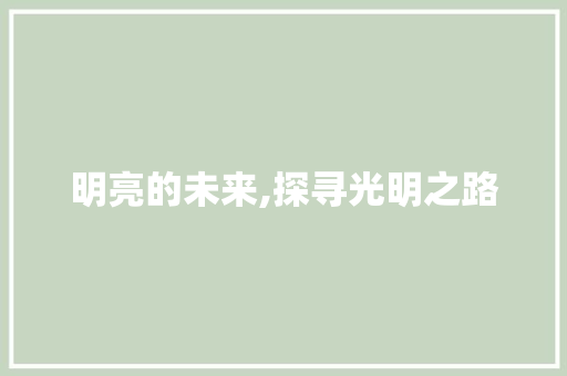 明亮的未来,探寻光明之路