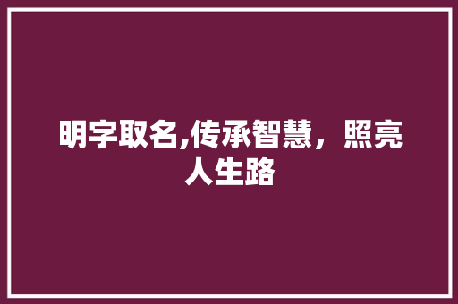 明字取名,传承智慧，照亮人生路 个人简历
