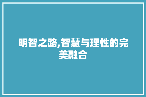 明智之路,智慧与理性的完美融合