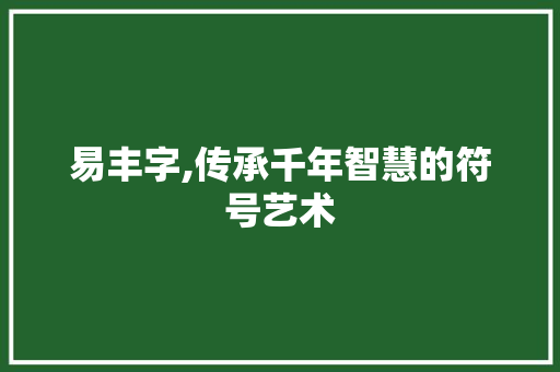 易丰字,传承千年智慧的符号艺术