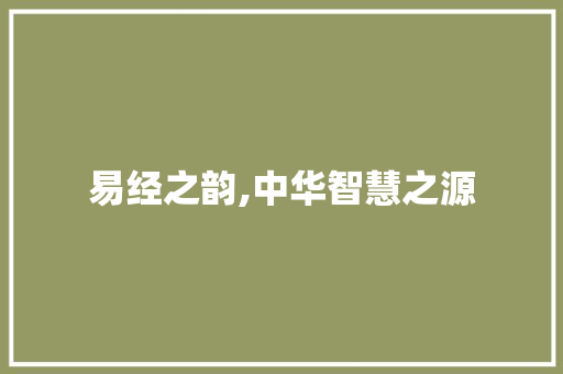 易经之韵,中华智慧之源