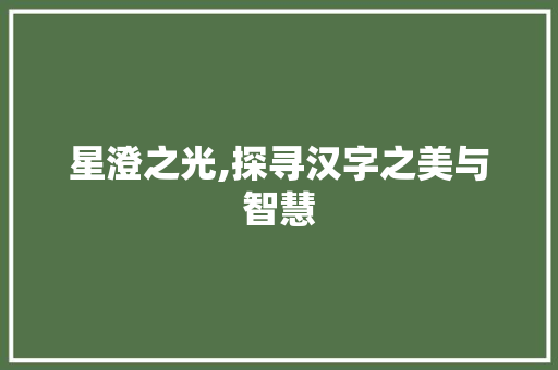 星澄之光,探寻汉字之美与智慧 工作计划