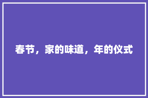 春节，家的味道，年的仪式 工作计划