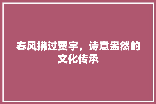春风拂过贾字，诗意盎然的文化传承
