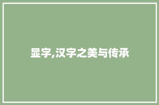 显字,汉字之美与传承 工作计划