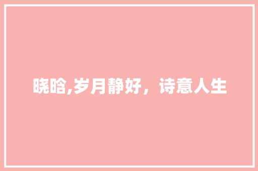 晓晗,岁月静好，诗意人生 成语大全
