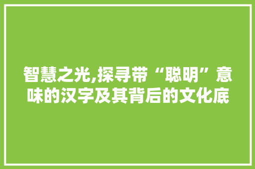 智慧之光,探寻带“聪明”意味的汉字及其背后的文化底蕴