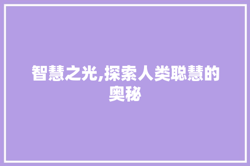 智慧之光,探索人类聪慧的奥秘