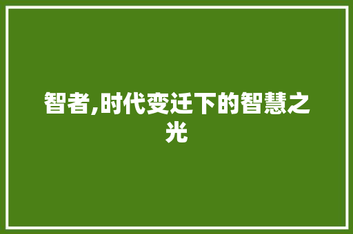 智者,时代变迁下的智慧之光 诗词鉴赏