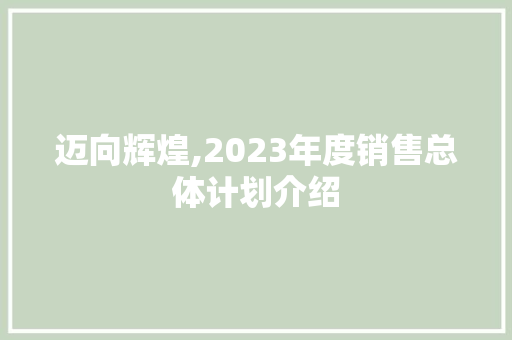 迈向辉煌,2023年度销售总体计划介绍