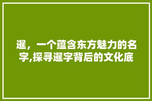 暹，一个蕴含东方魅力的名字,探寻暹字背后的文化底蕴与取名智慧 工作总结