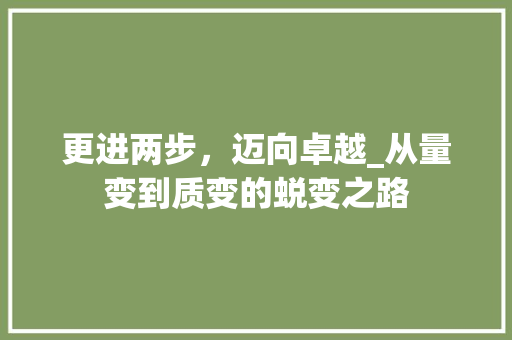 更进两步，迈向卓越_从量变到质变的蜕变之路