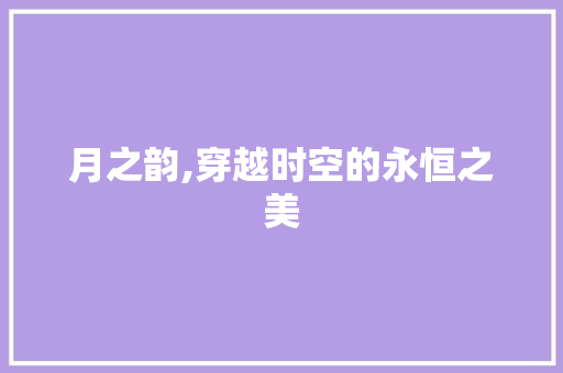 月之韵,穿越时空的永恒之美 演讲稿