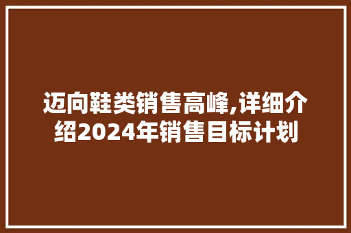 迈向鞋类销售高峰,详细介绍2024年销售目标计划