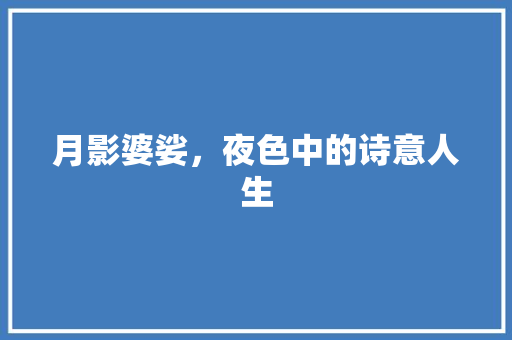 月影婆娑，夜色中的诗意人生