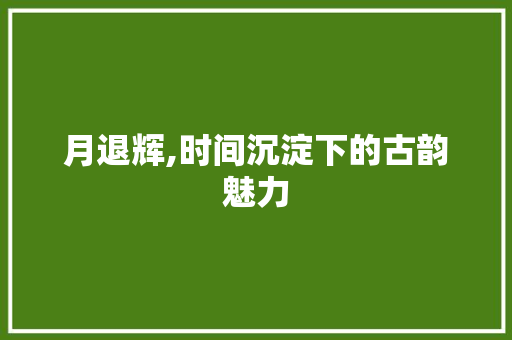 月退辉,时间沉淀下的古韵魅力