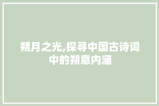 朔月之光,探寻中国古诗词中的朔意内涵 工作总结