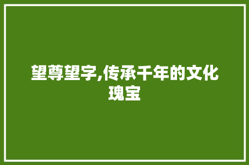 望尊望字,传承千年的文化瑰宝