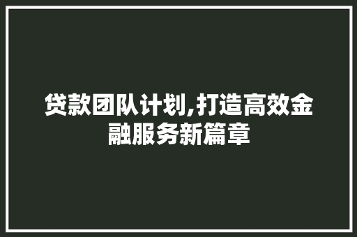 贷款团队计划,打造高效金融服务新篇章