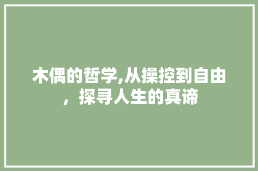 木偶的哲学,从操控到自由，探寻人生的真谛