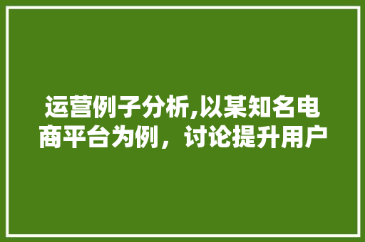 运营例子分析,以某知名电商平台为例，讨论提升用户体验的路径