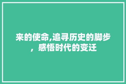 来的使命,追寻历史的脚步，感悟时代的变迁 诗词鉴赏