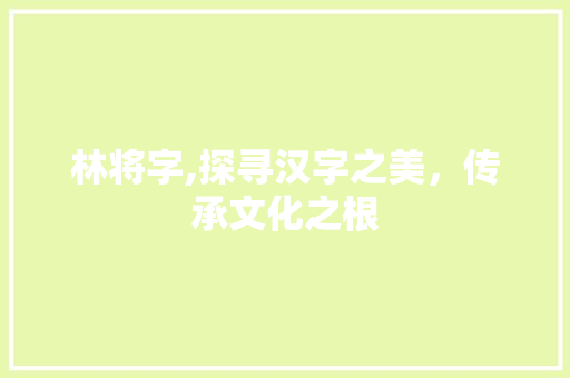 林将字,探寻汉字之美，传承文化之根 工作总结