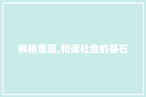 枫桥意蕴,和谐社会的基石 工作计划
