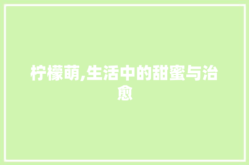 柠檬萌,生活中的甜蜜与治愈