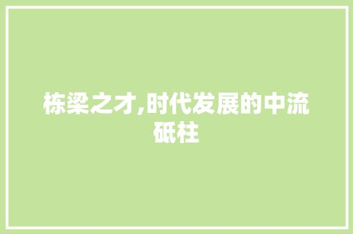 栋梁之才,时代发展的中流砥柱
