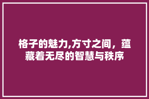 格子的魅力,方寸之间，蕴藏着无尽的智慧与秩序