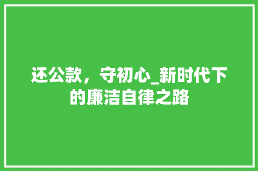 还公款，守初心_新时代下的廉洁自律之路